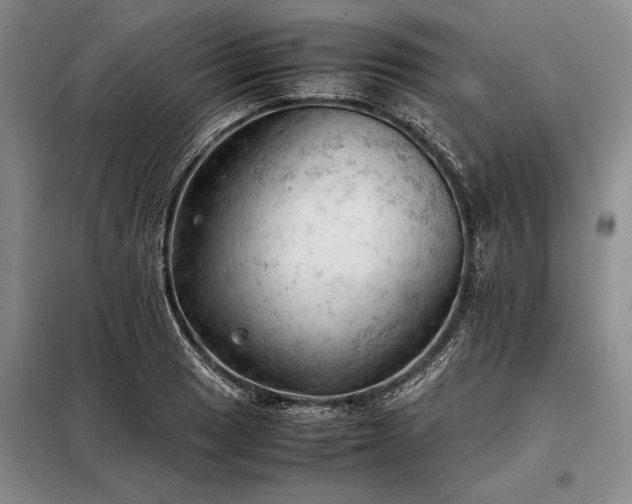 X0000098191033200805011119