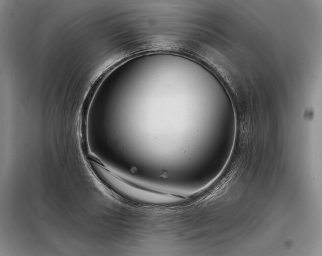 X0000098191034200805011119