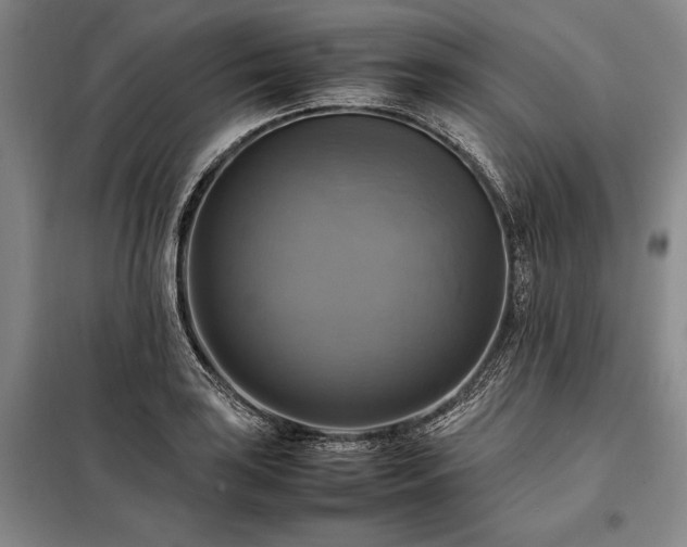 X0000098191035200805011119