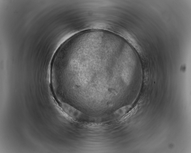 X0000098191036200805011119