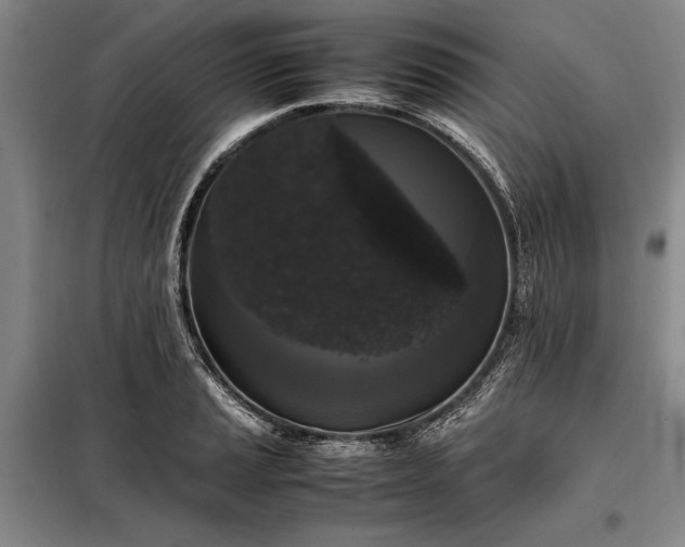X0000098191037200805011119