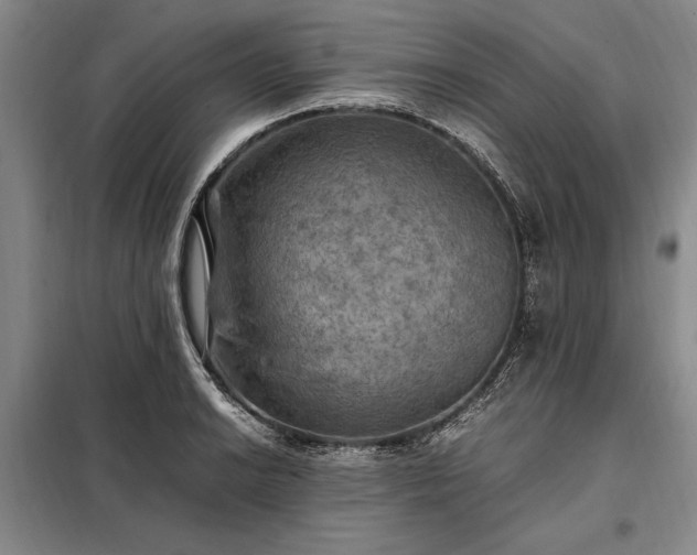 X0000098191038200805011119
