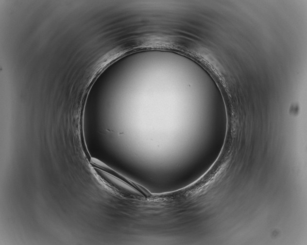 X0000098191041200805011119