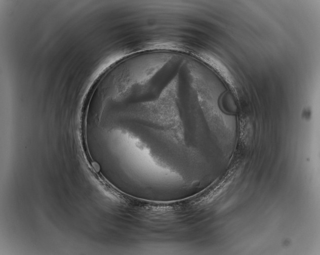 X0000098191043200805011119