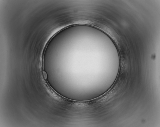 X0000098191044200805011119