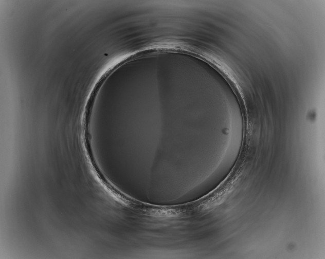 X0000098191045200805011119