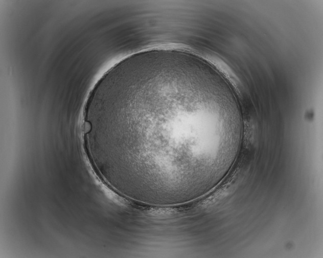 X0000098191046200805011119