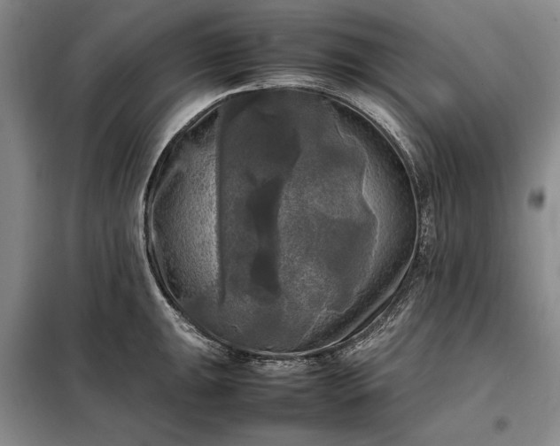 X0000098191047200805011119