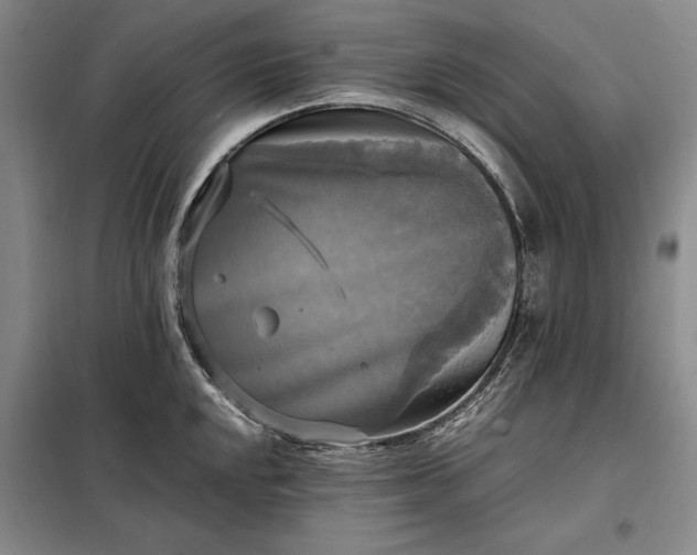 X0000098191048200805011119