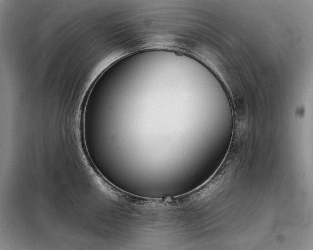 X0000098191050200805011119