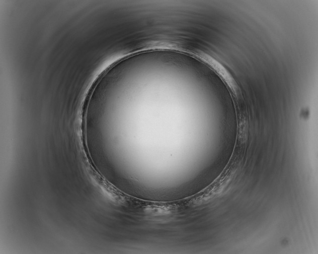 X0000098191051200805011119
