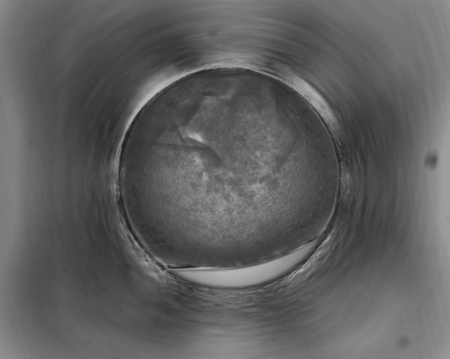 X0000098191052200805011119