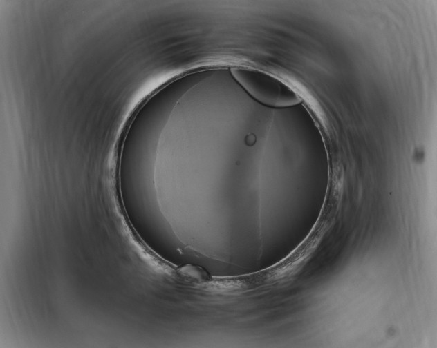 X0000098191053200805011119