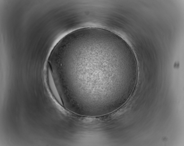 X0000098191056200805011119