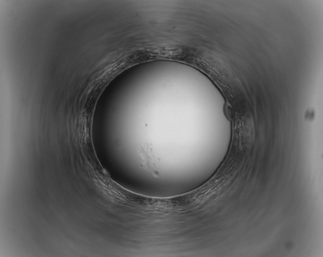 X0000098191058200805011118