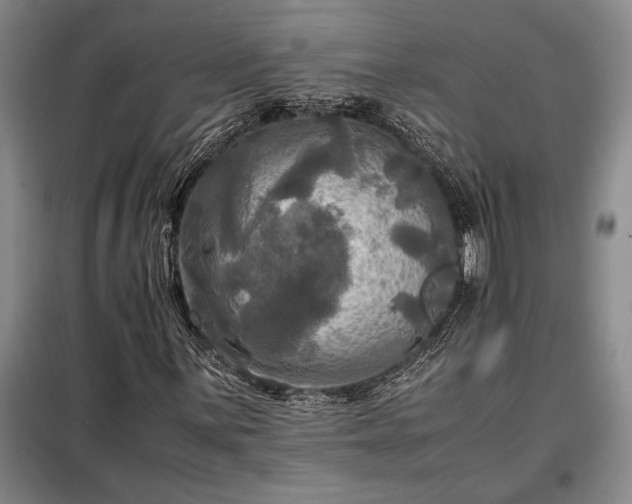 X0000098191059200805011118