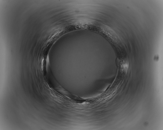 X0000098191060200805011118