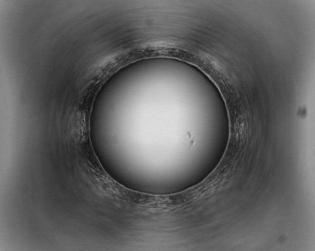 X0000098191062200805011118