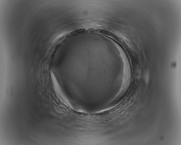 X0000098191063200805011118