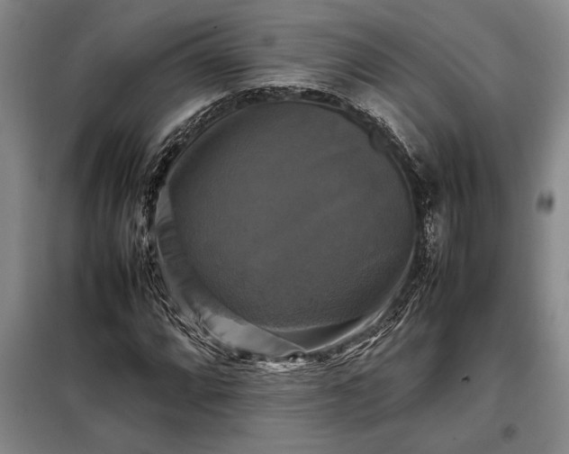 X0000098191064200805011118
