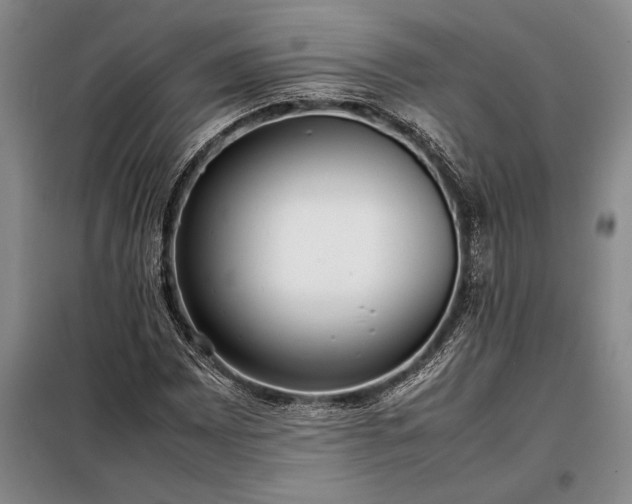 X0000098191065200805011118
