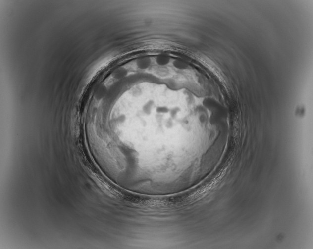 X0000098191067200805011118