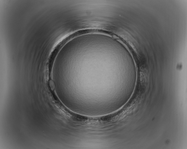 X0000098191069200805011118