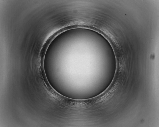 X0000098191070200805011118