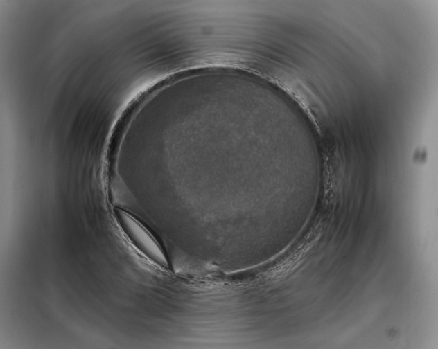 X0000098191072200805011118