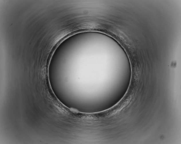 X0000098191073200805011118