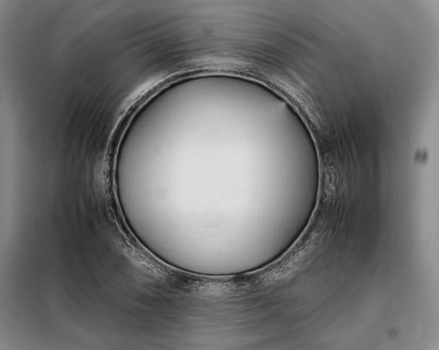 X0000098191074200805011118