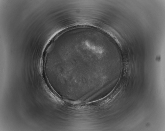 X0000098191076200805011118