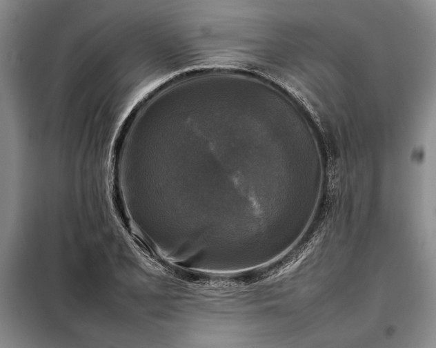 X0000098191077200805011118