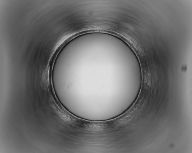 X0000098191078200805011118