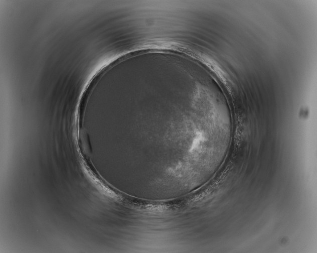 X0000098191080200805011118