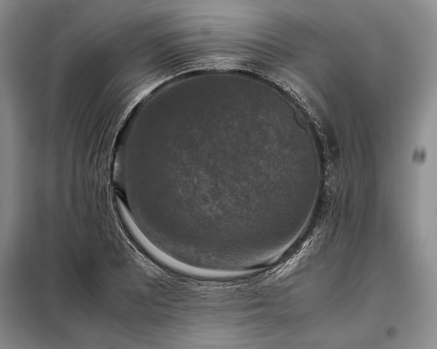 X0000098191081200805011118
