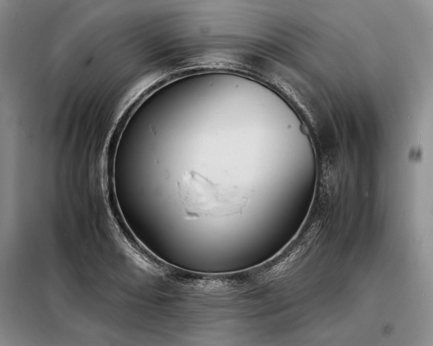 X0000098191082200805011118