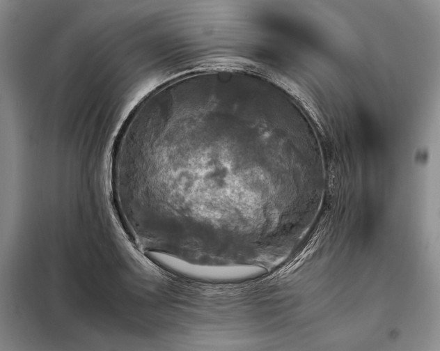 X0000098191083200805011118