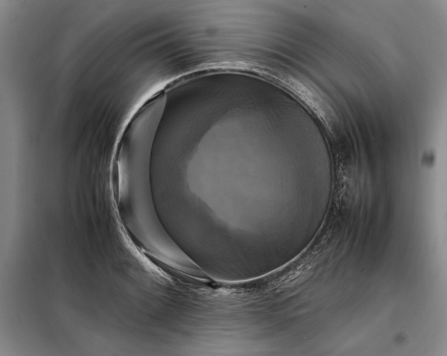 X0000098191084200805011118
