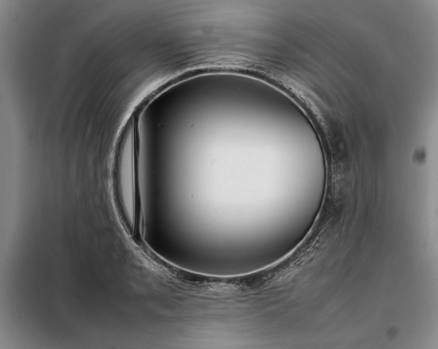 X0000098191085200805011118