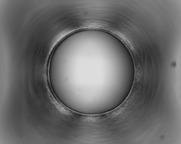 X0000098191086200805011118