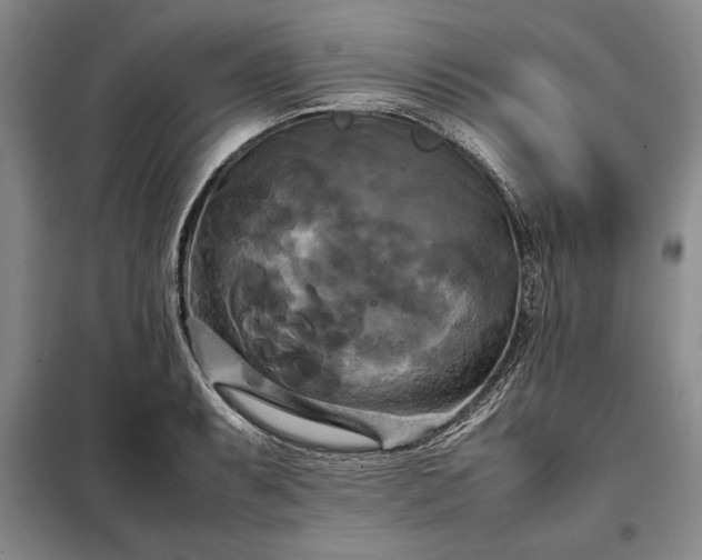 X0000098191087200805011118