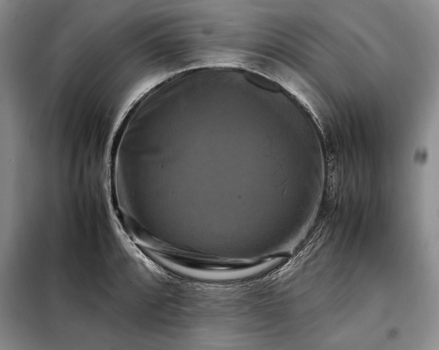 X0000098191088200805011118