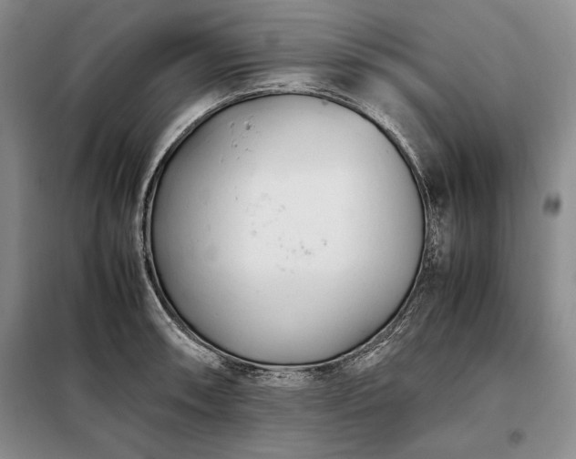 X0000098191090200805011118
