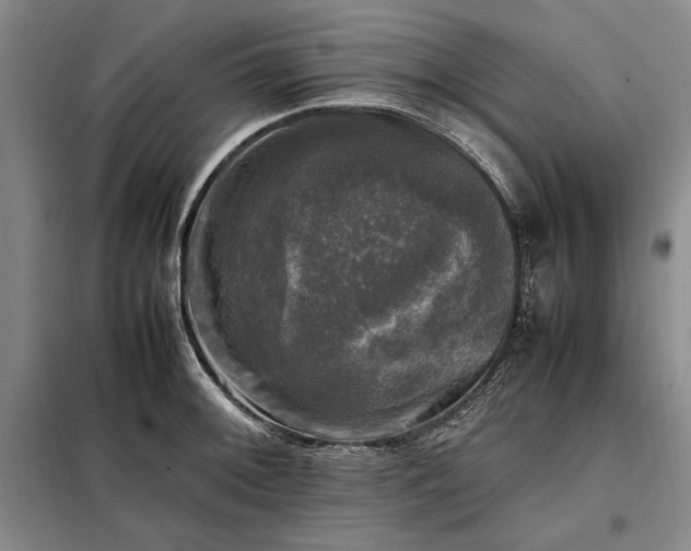 X0000098191092200805011118