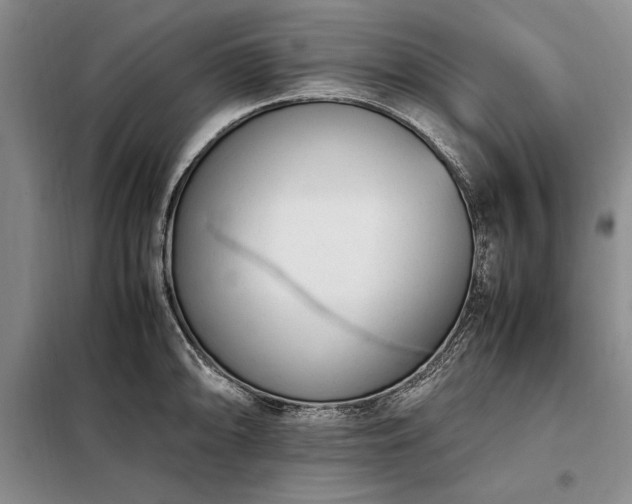 X0000098191094200805011118