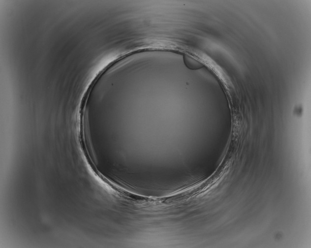 X0000098191095200805011118