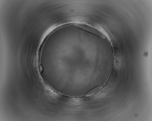X0000098191096200805011118