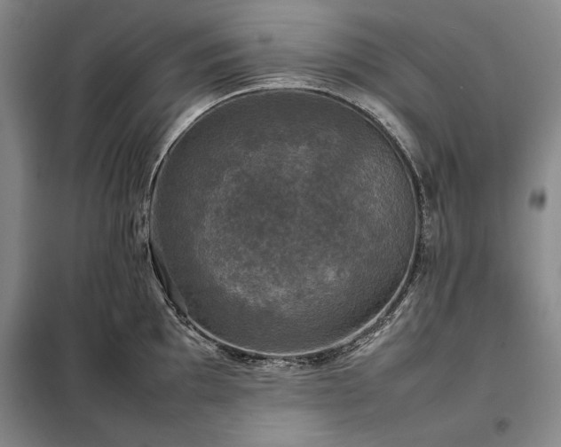 X0000098191097200805011118
