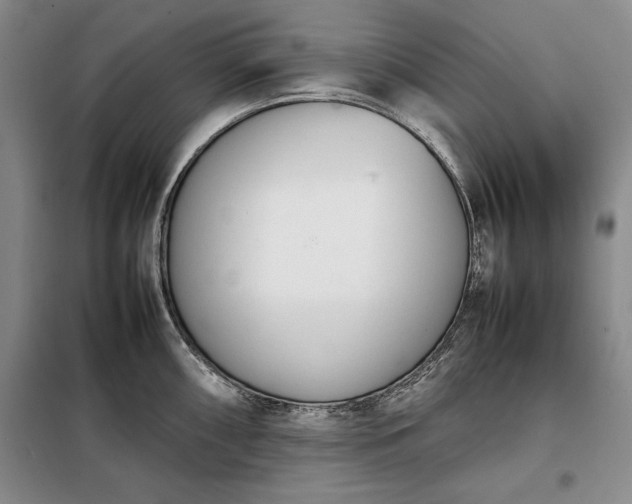 X0000098191098200805011118